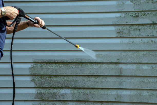 Best Commercial Building Pressure Washing  in Woodstock, VA