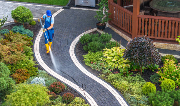 Best Sidewalk Pressure Washing  in Woodstock, VA