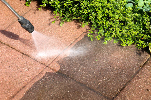 Best House Pressure Washing  in Woodstock, VA